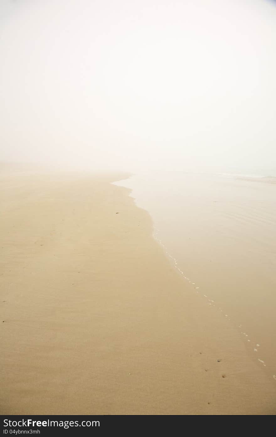 Foggy Beach