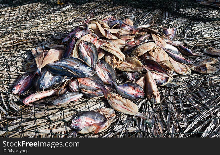 Dried fish product from sea.