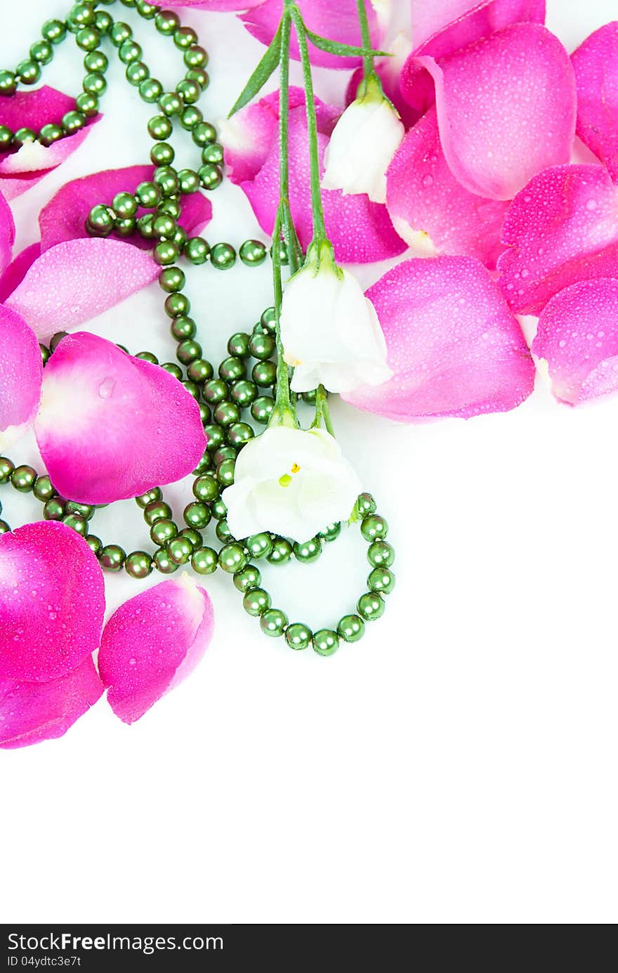 Angled Background Rose Petals