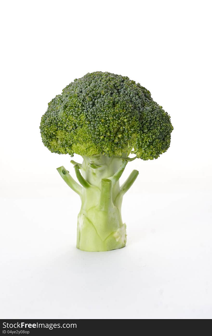 Brocoli on white background