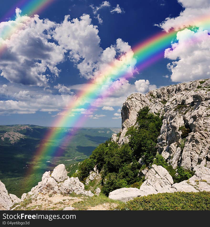 Summer Landscape In The Mountains