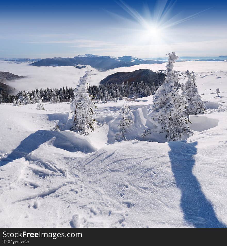 Winter landscape with the sun