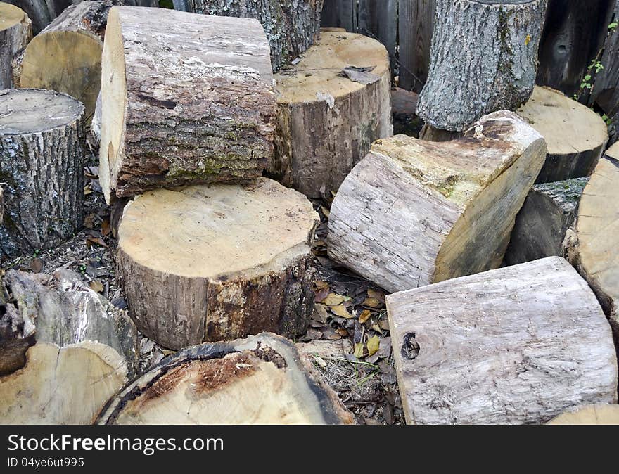 The photo shows several stumps trees for firewood.