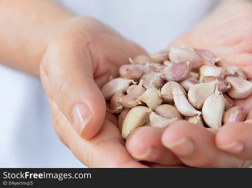 Close up image of hand hold garlic