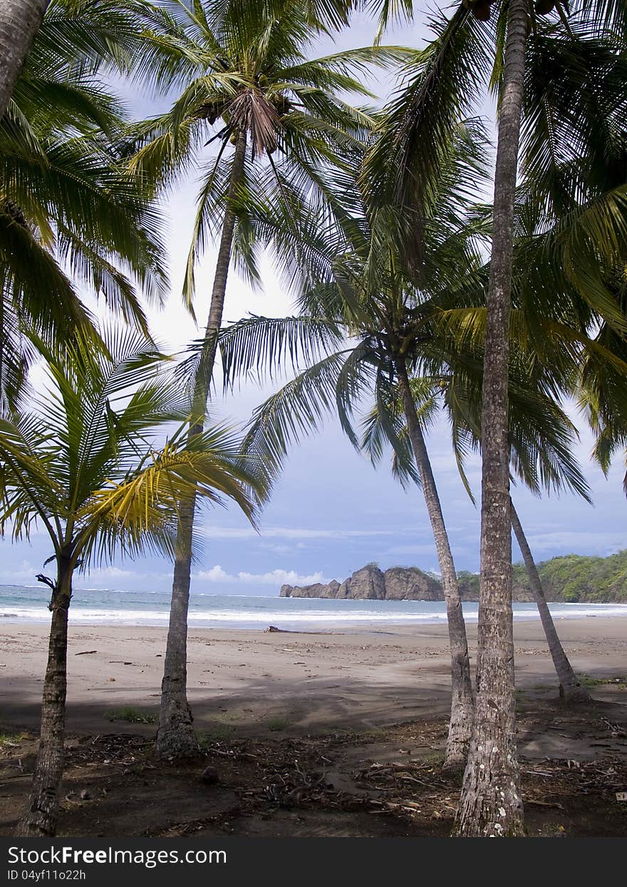 Beautiful deserted tropical beach