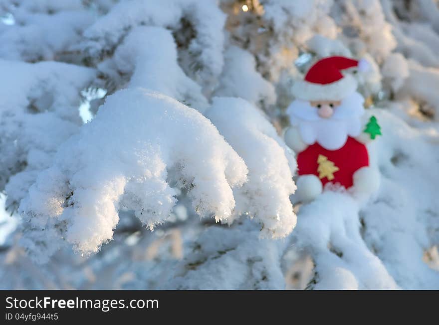 Santa Claus sits on a snow-covered Christmas tree branch. Santa Claus sits on a snow-covered Christmas tree branch.