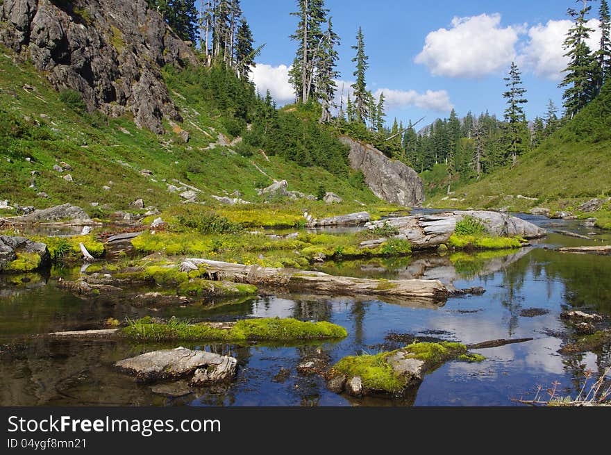 Baker National Forest In Washington