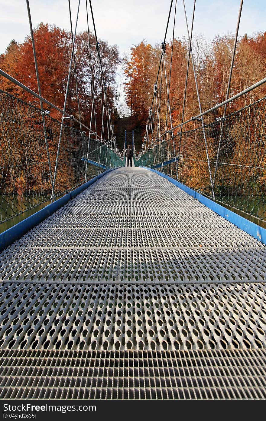 The big suspension bridge by the autumnal wood