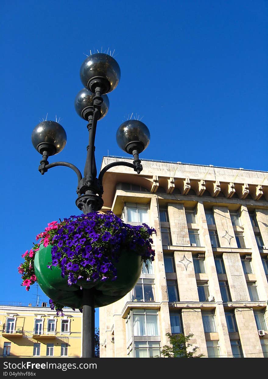 The image of plant on the lantern in the city. The image of plant on the lantern in the city