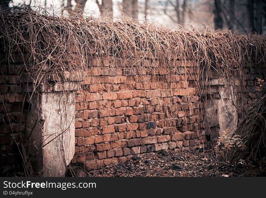 Old brick fence at fall season uptown. Old brick fence at fall season uptown