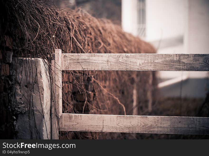 Old brick fence at fall season uptown. Old brick fence at fall season uptown