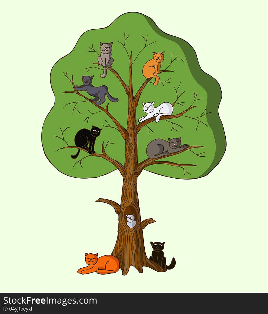 The nine colorful cats sitting on the branches of the huge tree. The nine colorful cats sitting on the branches of the huge tree