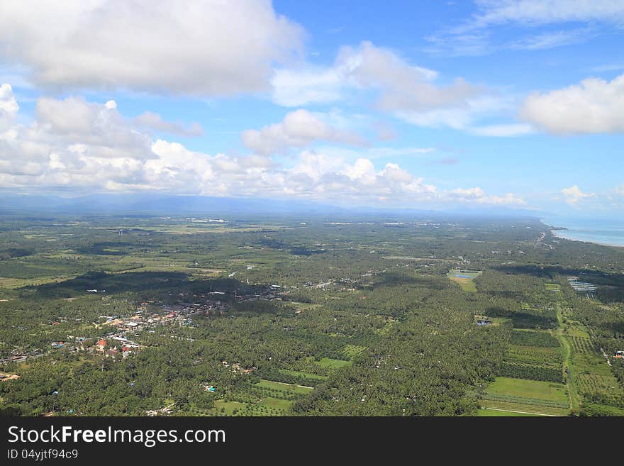 Aerial photo of coconut farms, palm trees and houses beside the long beach in Thailand. Aerial photo of coconut farms, palm trees and houses beside the long beach in Thailand