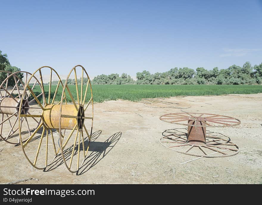 Kibbutz Yotvata is a famous agriculture enterprise in Israel. Kibbutz Yotvata is a famous agriculture enterprise in Israel