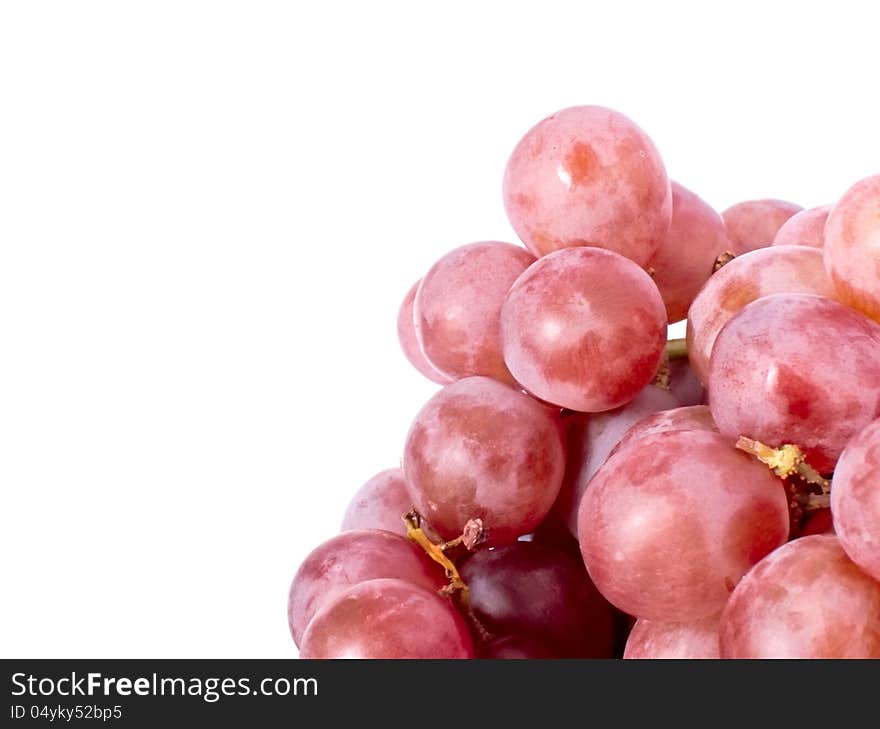 Fresh purple grape