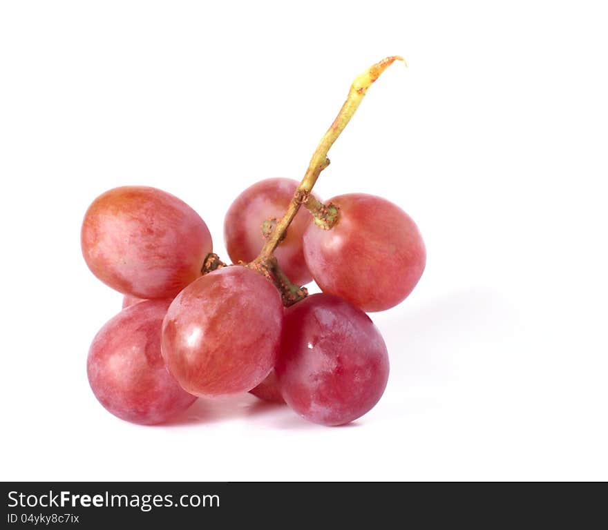 Fresh purple grape