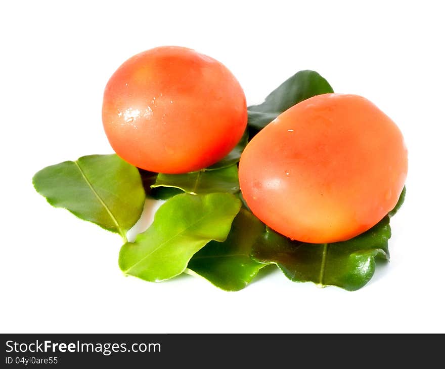 Tomato and kaffir lime leaves on white background