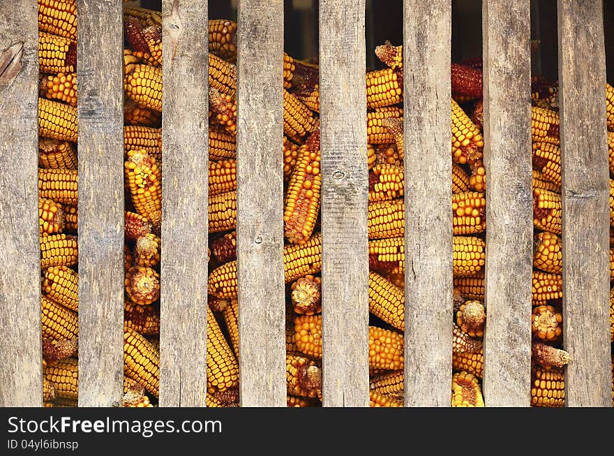 Photo of a corn barn in a countryside