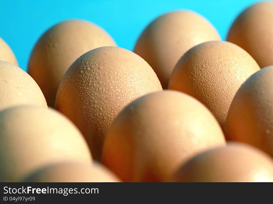 Chicken eggs