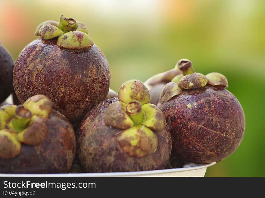 Mangosteen, Tropical fruit in Thailand