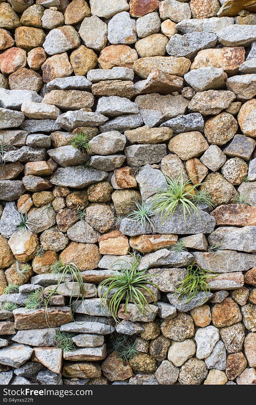 Stone Wall With Some Plants In Garden