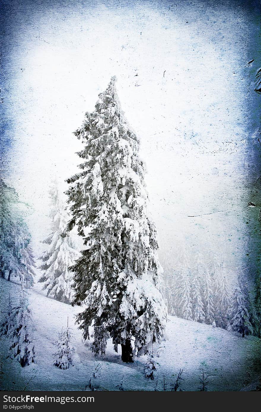 Christmas background with snowy fir trees. Christmas background with snowy fir trees