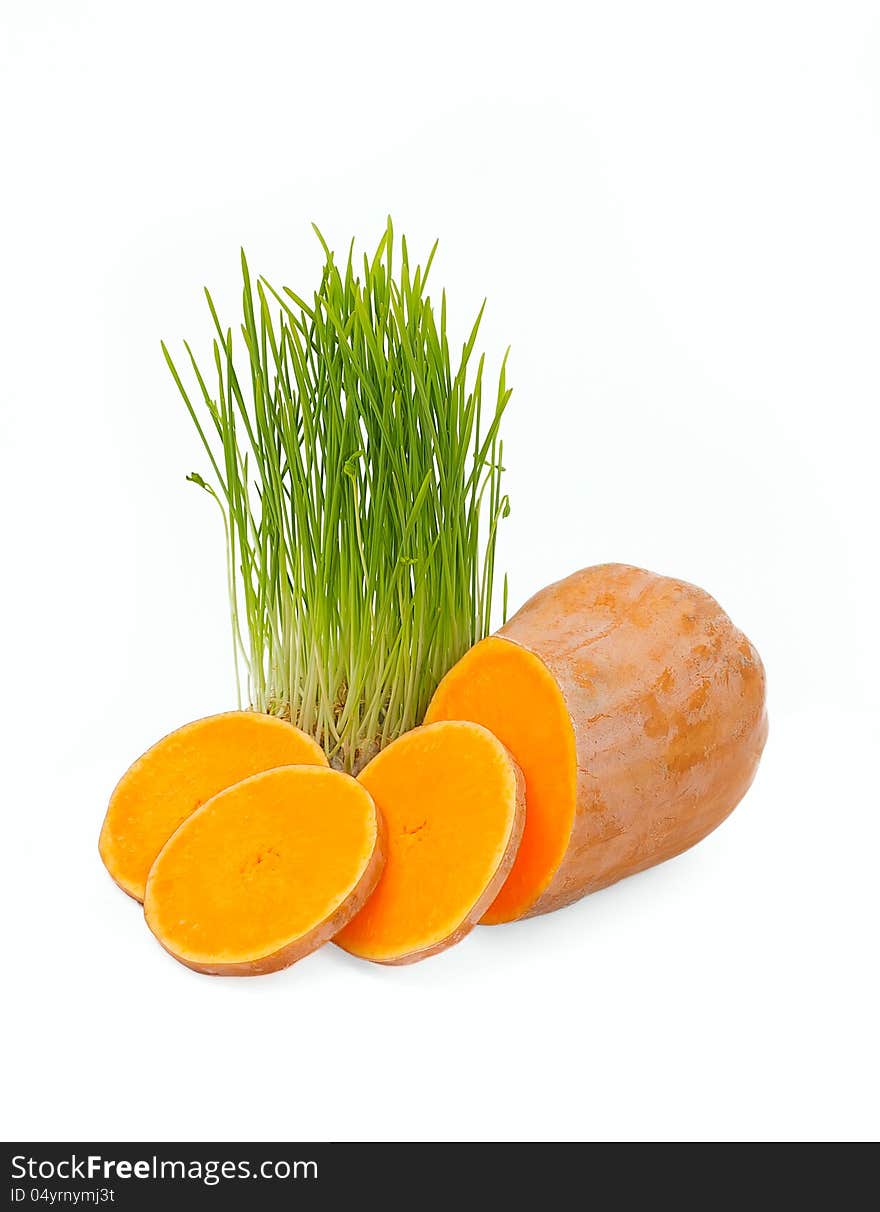 Little circles orange pumpkins and green shoots of wheat on a white background. Little circles orange pumpkins and green shoots of wheat on a white background