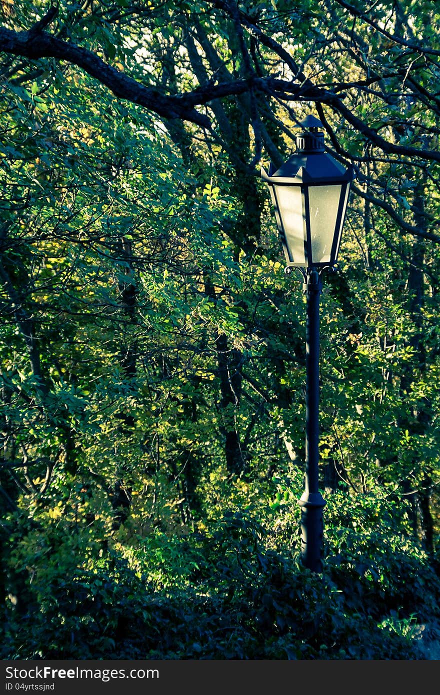 Lamp post with autumn colors in background. Lamp post with autumn colors in background