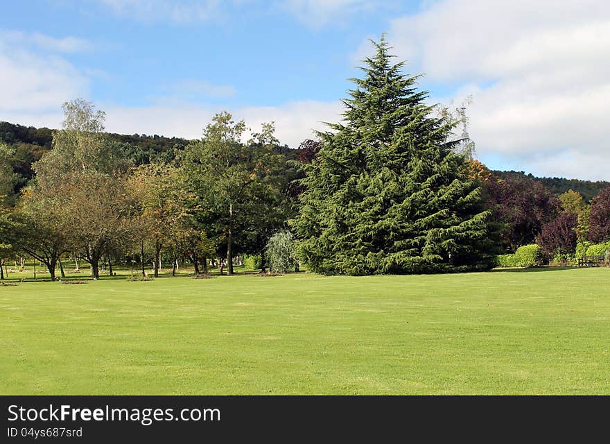 Park in countryside