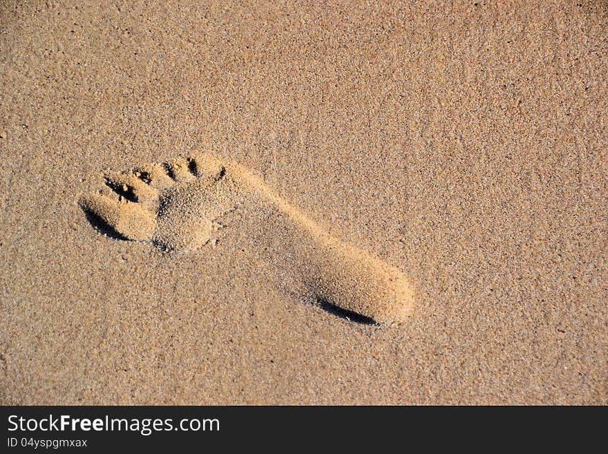 Footprint