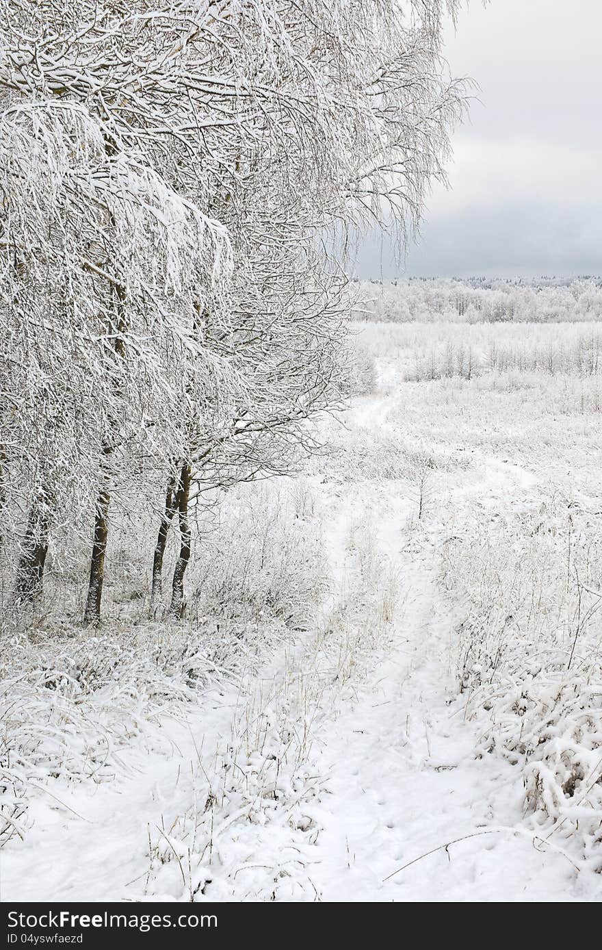 Country landscape after the first snowfall. Central Russia. Kaluga region. Country landscape after the first snowfall. Central Russia. Kaluga region.