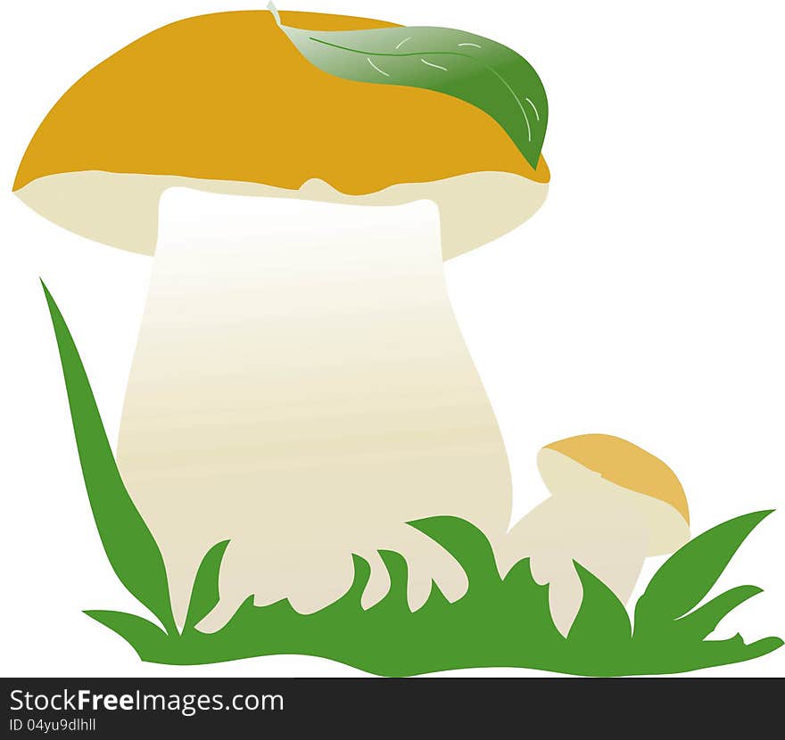 Illustration of the two mushrooms with the green leaves. Isolated on white. Illustration of the two mushrooms with the green leaves. Isolated on white