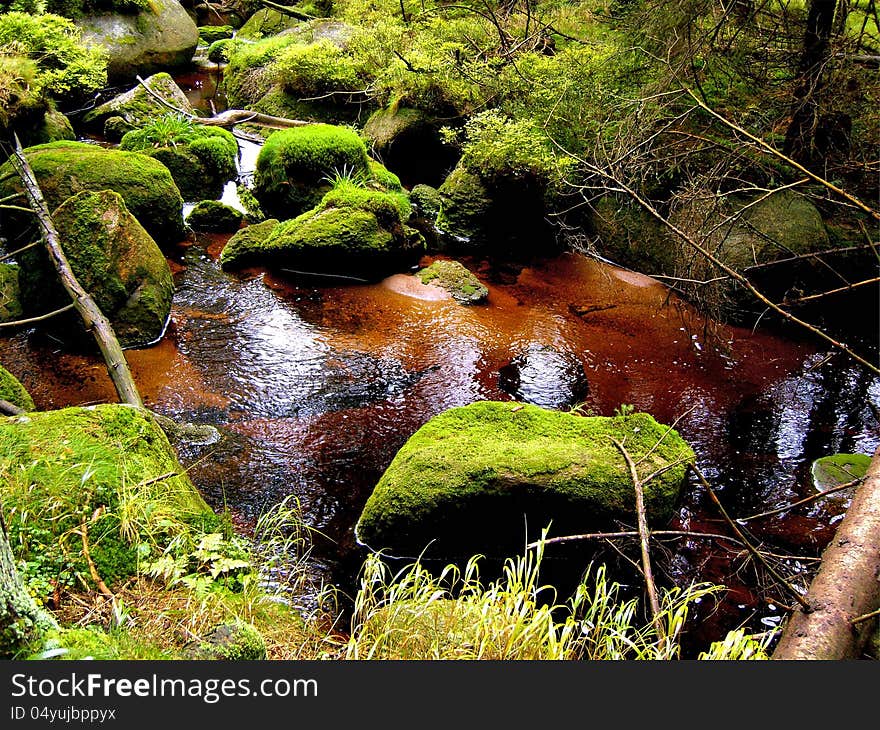 The river Ilse in the Harz National Park. The river Ilse in the Harz National Park