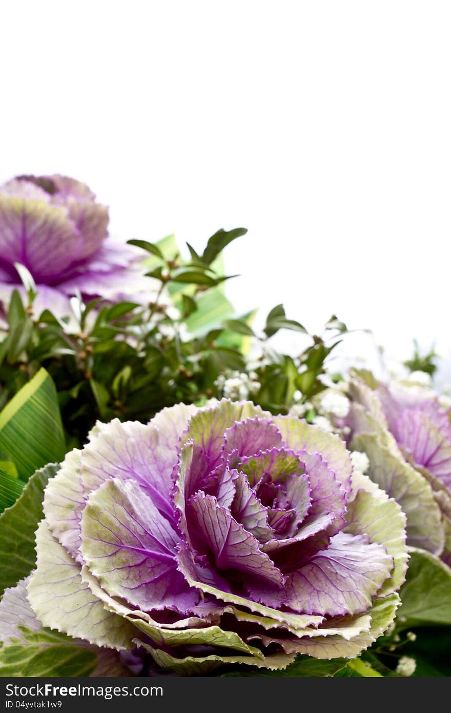 Decorative Flower In A Bouquet