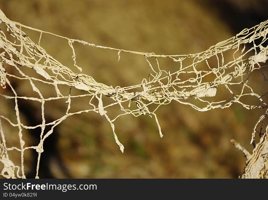 Torn Fishnet In Autumn