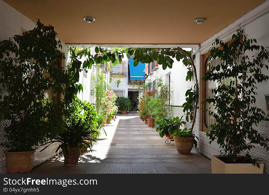 Andalusian patio of Cordoba