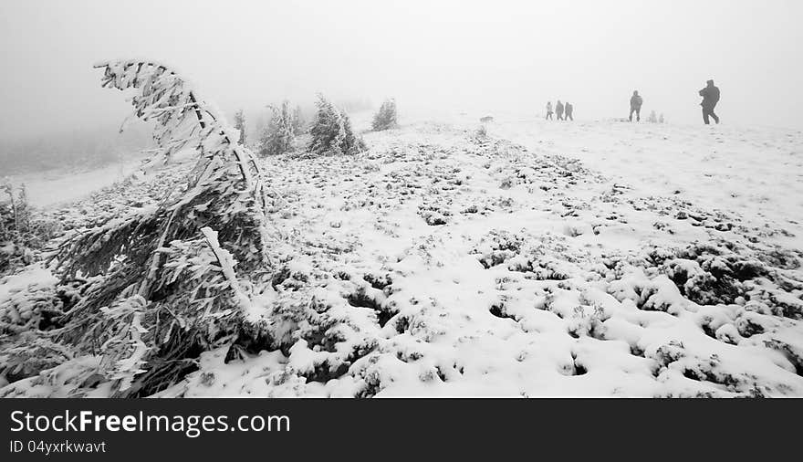 Group of people trekking in foggy winter landscape going to the top