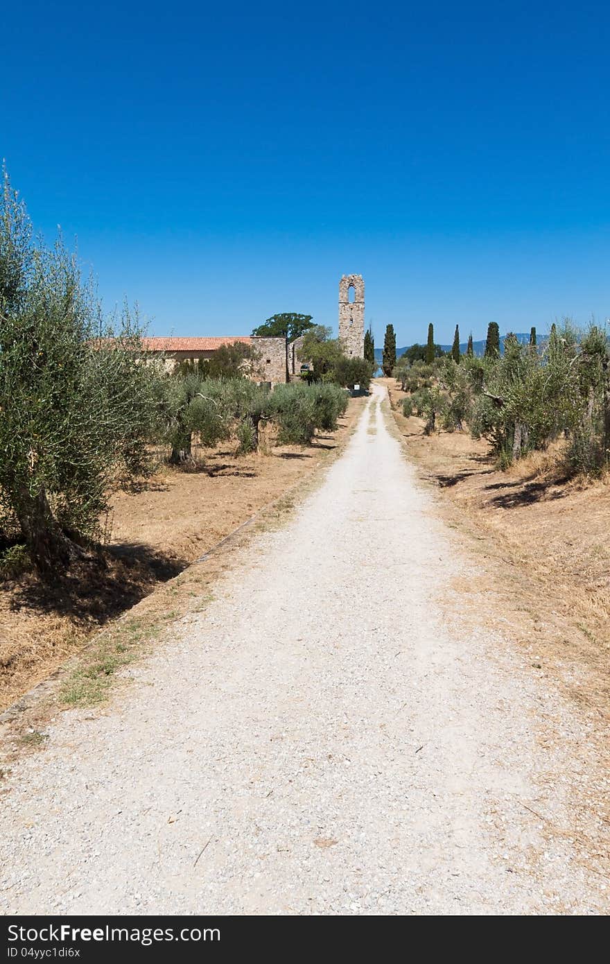 The Polvese Island on Lake Trasimeno