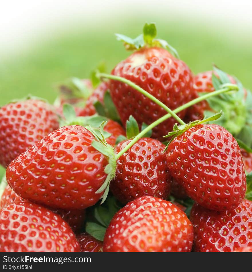 Fresh strawberries close-up.