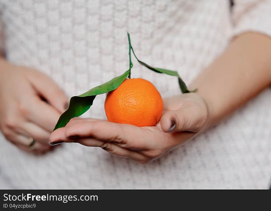 Close-up of woman's hands holding a ripe tangerine with leaf. Close-up of woman's hands holding a ripe tangerine with leaf