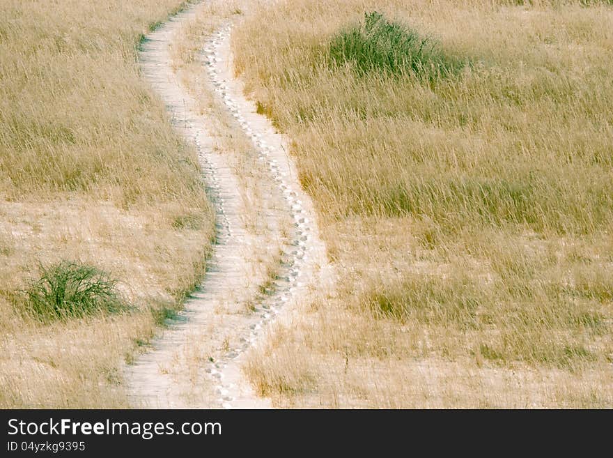 Footsteps shown on a road path in the form of an s-curve. Footsteps shown on a road path in the form of an s-curve