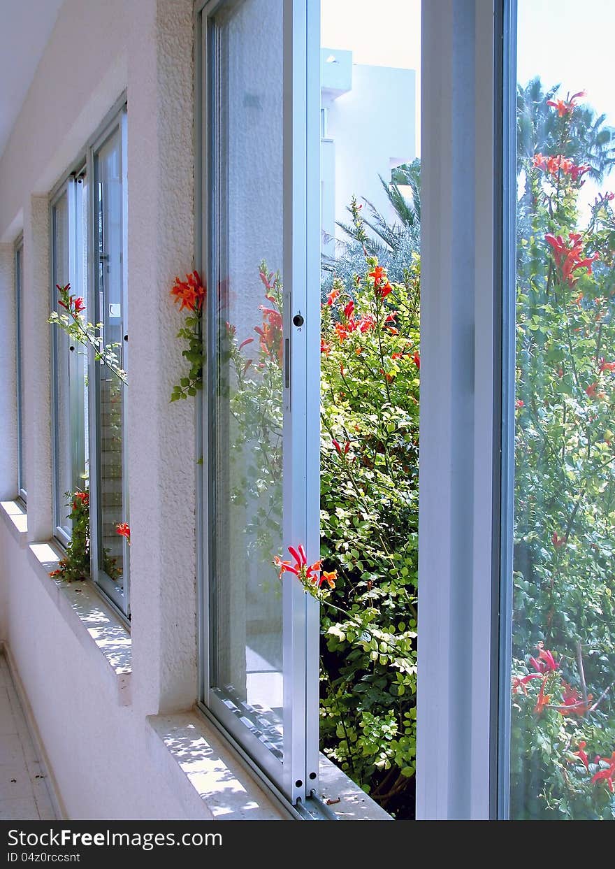 Windows and flowers in the corridor of the hotel