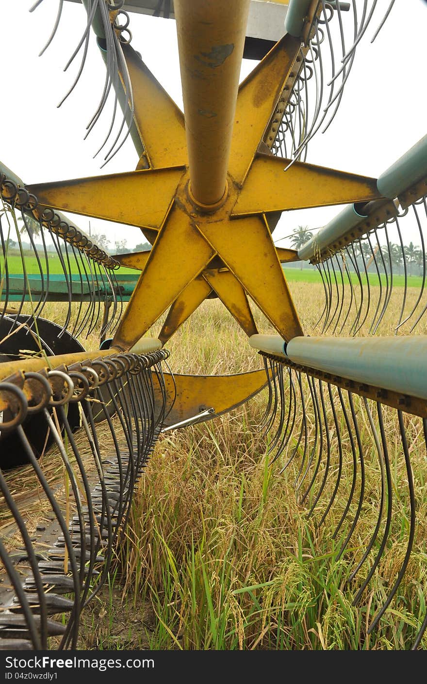 Close up head of rice harvesting and collecting machine part. Close up head of rice harvesting and collecting machine part