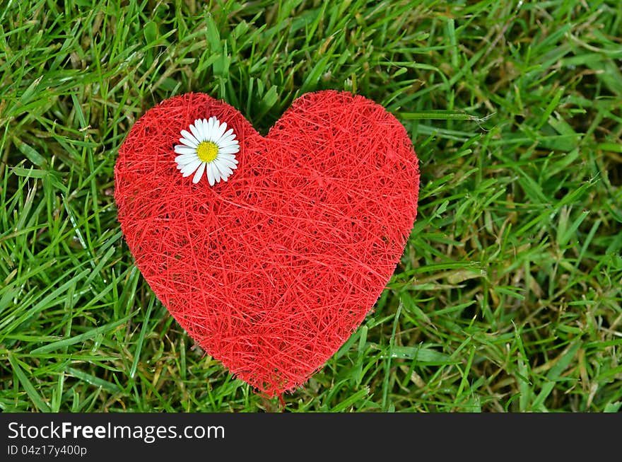 Valentines red heart on the grass, with white daisy