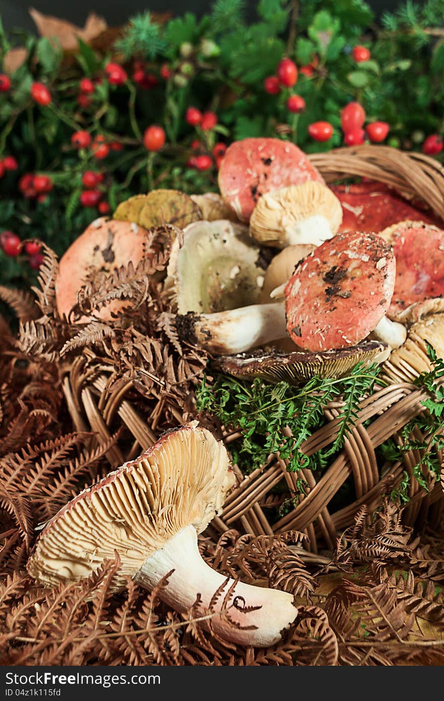 Basket with mushrooms on wooden table