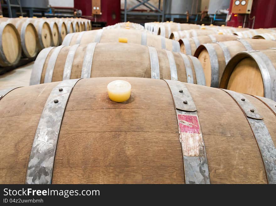 Wine cellar with the barrique barrels in wineries