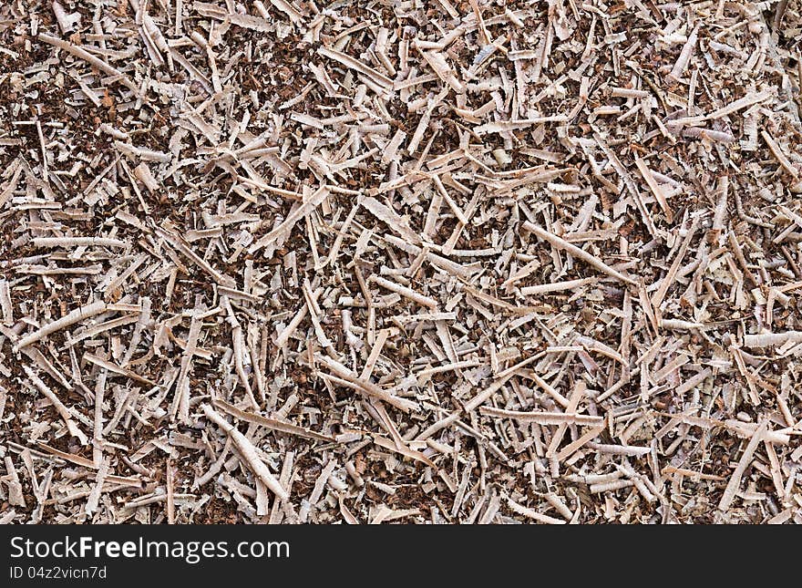 Wooden sawdust and Wood chips texture shavings background