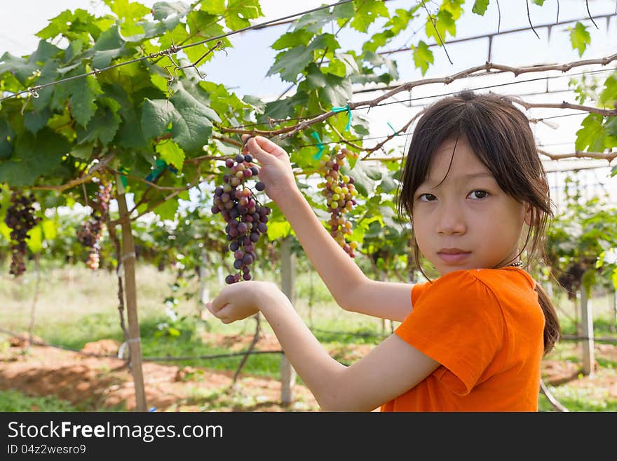 Young Woman Holding Grapes