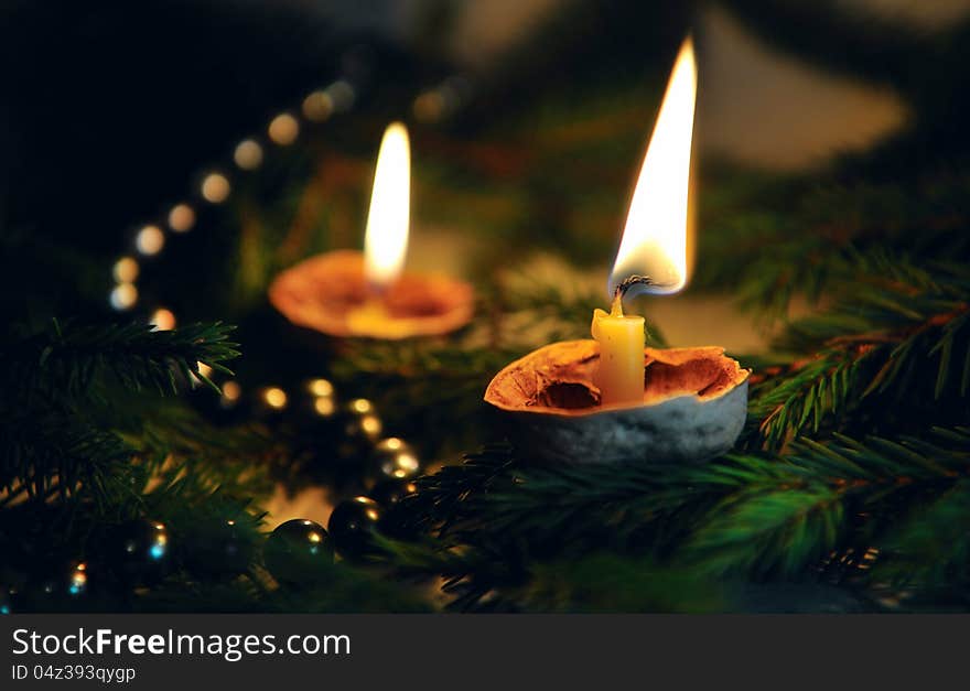 Two candles with coniferous sprigs