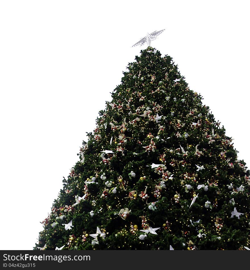 Christmas Tree and decorations. Over white background, outdoor